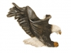 eagle1